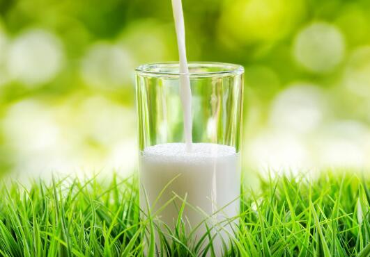 植物奶产业前景良好 设备成套化生产能力需加强