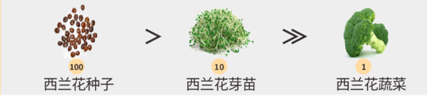 萝卜硫苷：新型营养因子，SFN西兰花植物饮料的“健康黑科技”！