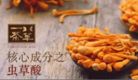 八草一茶蛹虫草固体饮料，扶正益气，双向调节免疫力