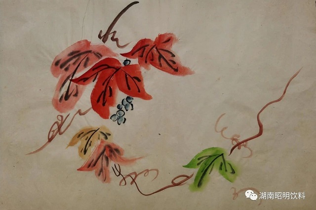 浅说植物饮料的历史，大江东去植物饮料全国招商