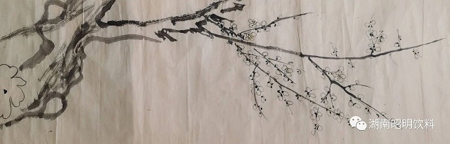 浅说植物饮料的历史，大江东去植物饮料全国招商
