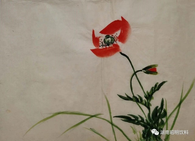 浅说植物饮料的历史，大江东去植物饮料全国招商