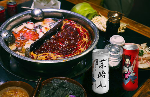 食药同源，纯植物饮料，茶哈儿到底是一款什么样的饮品？
